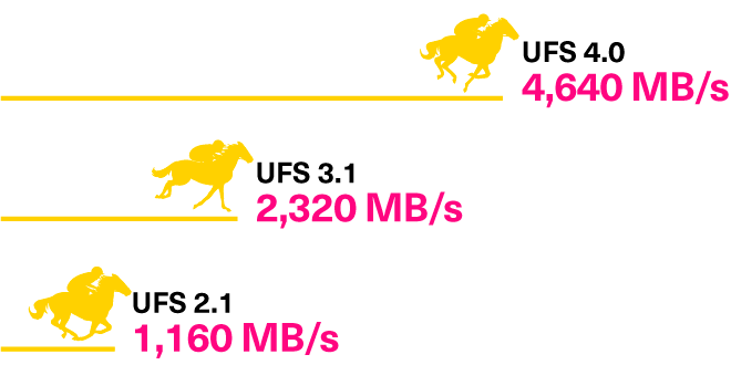 image3.gif